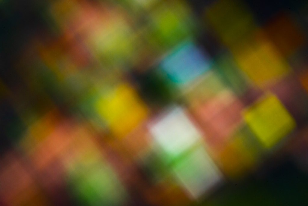 Après-midi d'automne (2338)